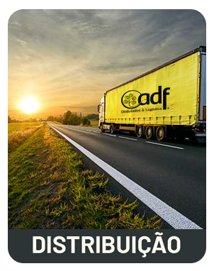 Distribuição